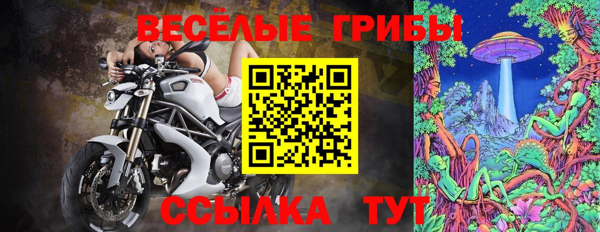Сибай  Галлюциногенные грибы прущие грибы  Вход с VPN 